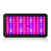 Greenfingers 1200W LED Grow Light Full Spectrum - Delldesign Living - Home & Garden > Lighting - free-shipping