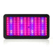 Greenfingers 1200W LED Grow Light Full Spectrum - Delldesign Living - Home & Garden > Lighting - free-shipping