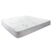 Giselle Bedding Giselle Bedding Bamboo Mattress Protector King - Delldesign Living - Home & Garden > Bedding - free-shipping