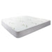 Giselle Bedding Giselle Bedding Bamboo Mattress Protector Single - Delldesign Living - Furniture > Mattresses - free-shipping