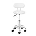 Artiss Salon Stool Swivel Barber Chair Backrest Hairdressing Hydraulic Height - Delldesign Living - Furniture > Bar Stools & Chairs - free-shipping, hamptons