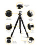 Weifeng 173cm Professional Ball Head Tripod Digital Camera - Delldesign Living - Audio & Video > Photography - free-shipping