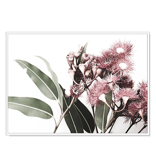 50cmx70cm Eucalyptus in Bloom White Frame Canvas Wall Art - Delldesign Living - Home & Garden > Wall Art - free-shipping